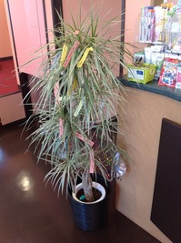 ブログ画像.jpegのサムネール画像