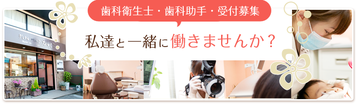 歯科衛生士・歯科助手・受付募集