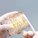 予防はあらゆる治療の原点